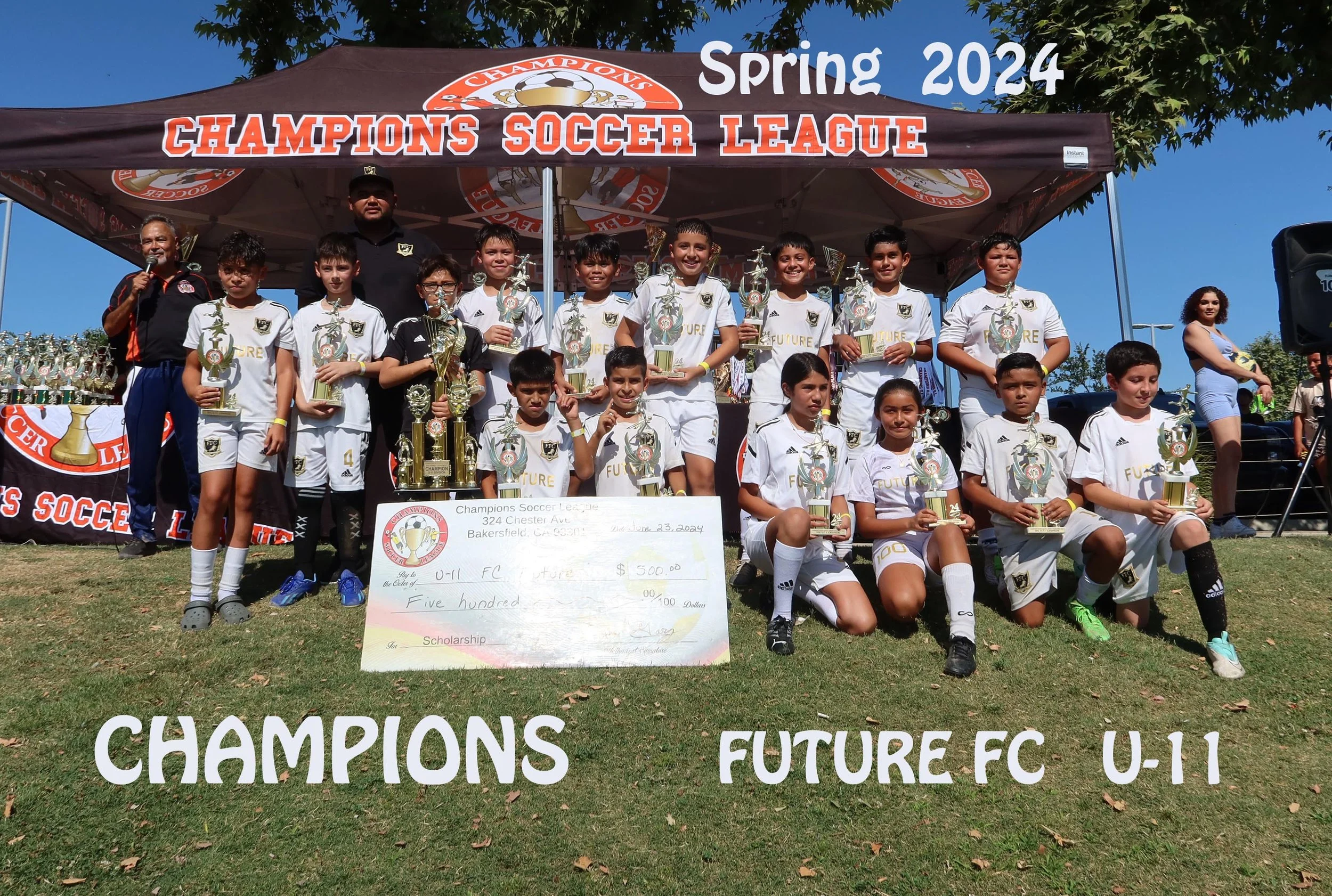 Sports League - Champions Soccer League